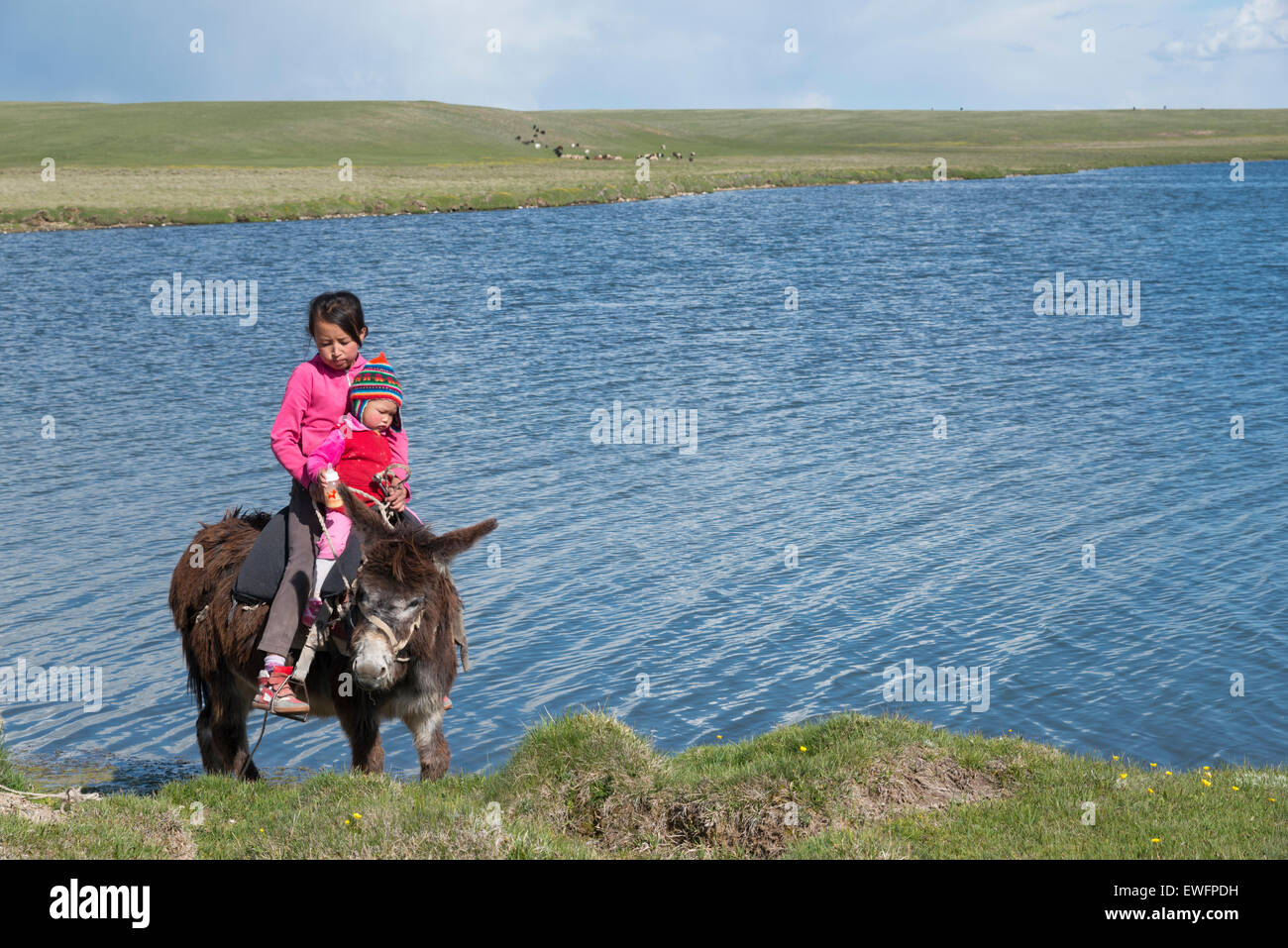 Lac Song-Köl. Le Kirghizistan. L'Asie centrale. Banque D'Images