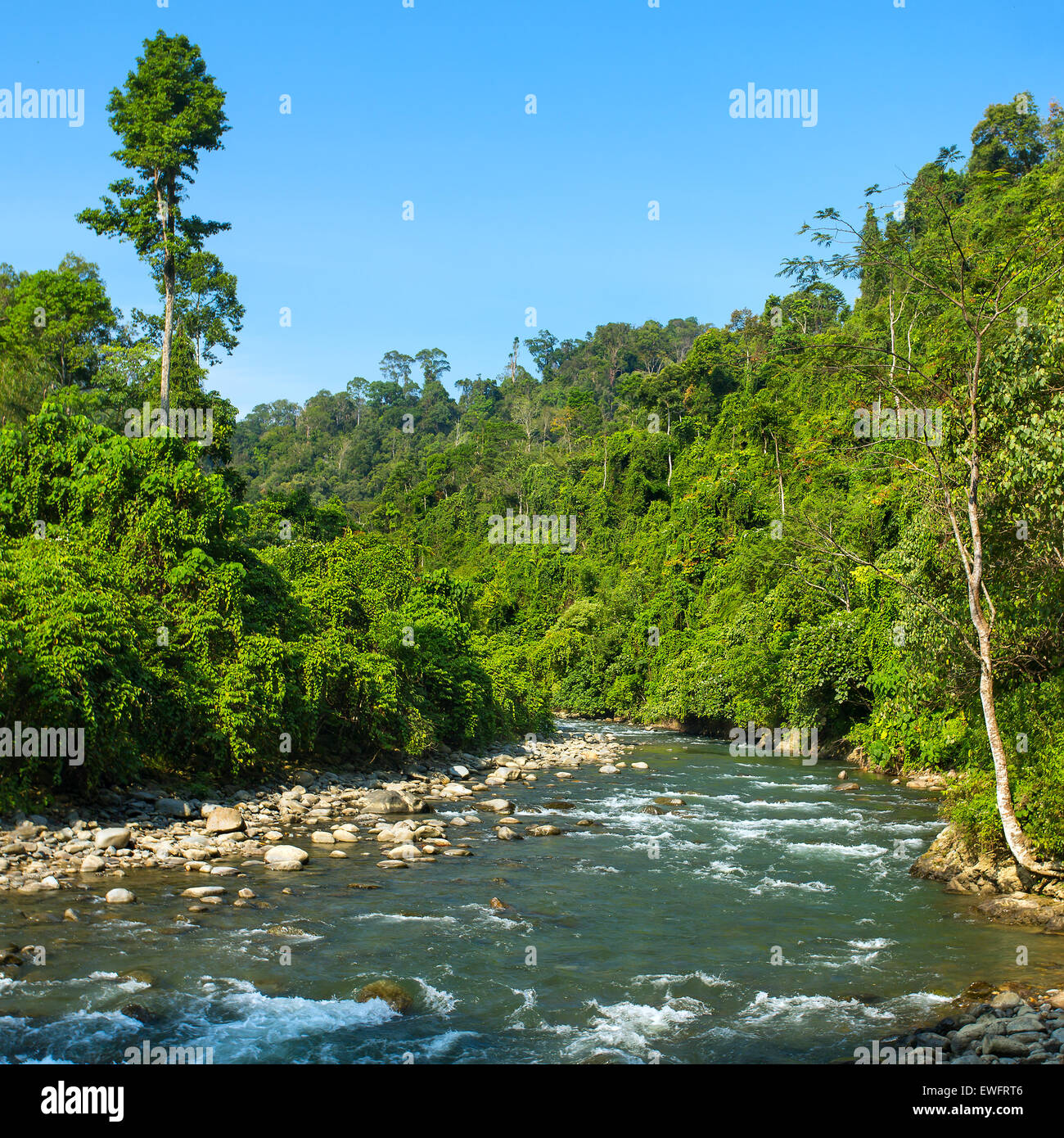 Bukit Lawang village, Sumatra, Indonésie Banque D'Images