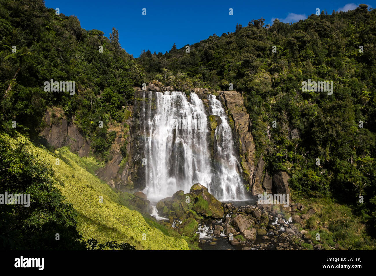 Près de chutes d'Marokopa à Waitomo en Nouvelle-Zélande sur une journée d'été. Banque D'Images