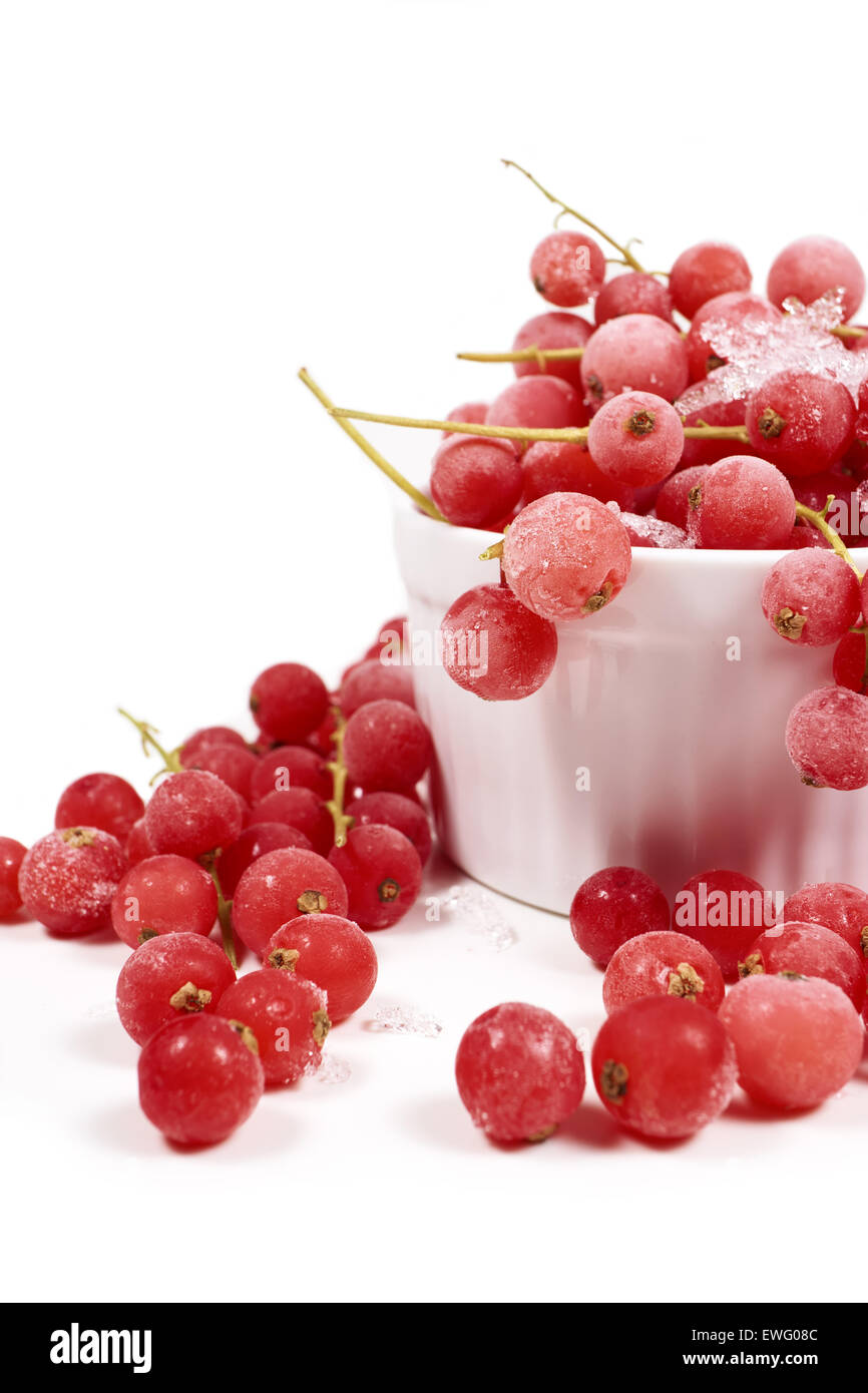 Groseilles congelées avec tiges sont couvertes de cristaux de glace dans le bol en porcelaine blanche sur fond blanc Banque D'Images