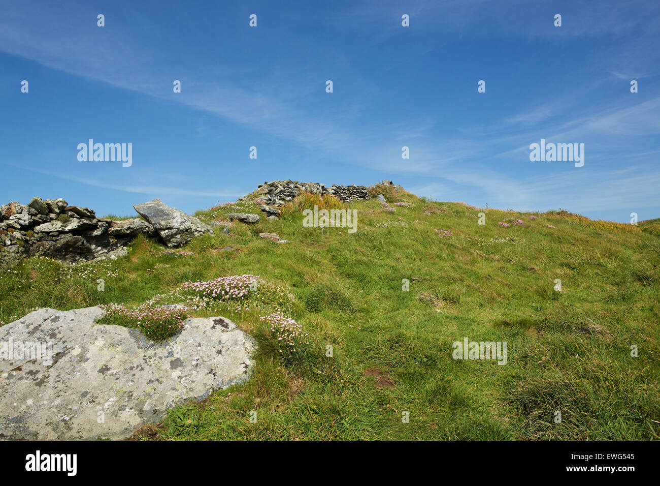 Cornish landes avec un mur en pierre sèche à l'abandon. Pelouse et fleurs parmi les rochers de granit. Banque D'Images