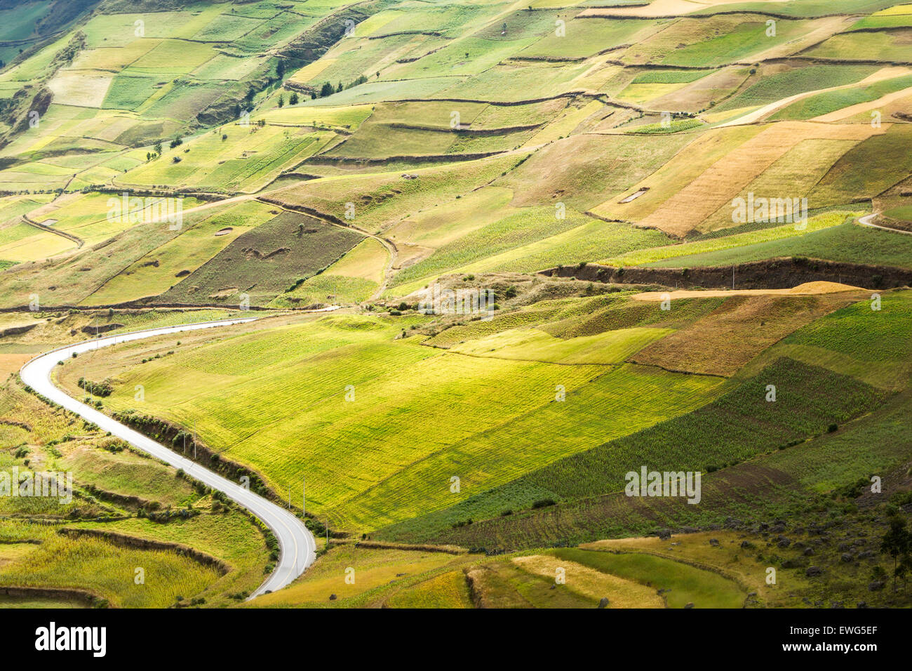 Route de haute altitude en Equateur Crossing Paysage agricole Banque D'Images