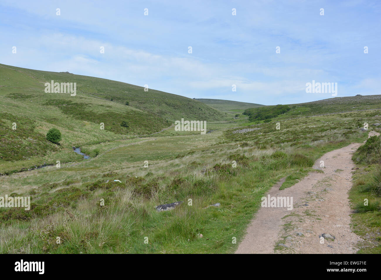 La piste à Wistman's Wood, vu du côté droit de l'ouest de la rivière Dart, Dartmoor National Park, Devon, Angleterre Banque D'Images