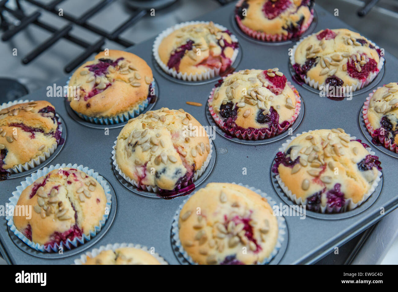 Le Gluten, produits laitiers Berry Muffins Banque D'Images
