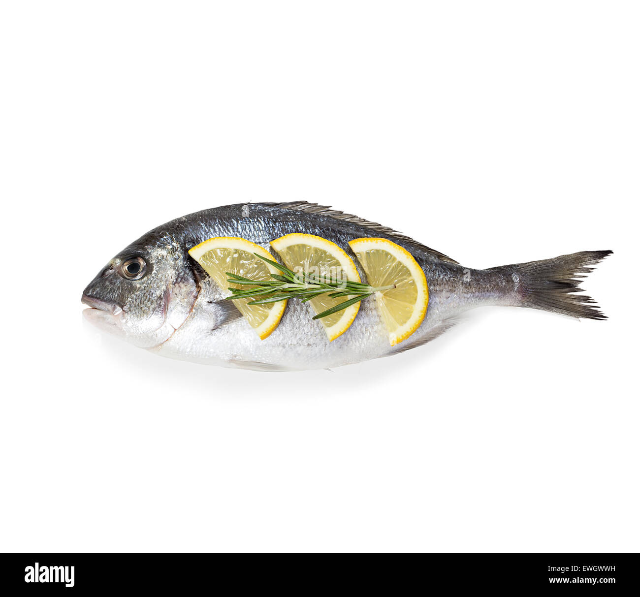 Dorado poisson isolé sur fond blanc. Banque D'Images