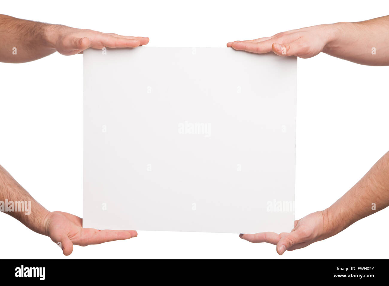 Four Hands holding a blank white board. isolated on white Banque D'Images