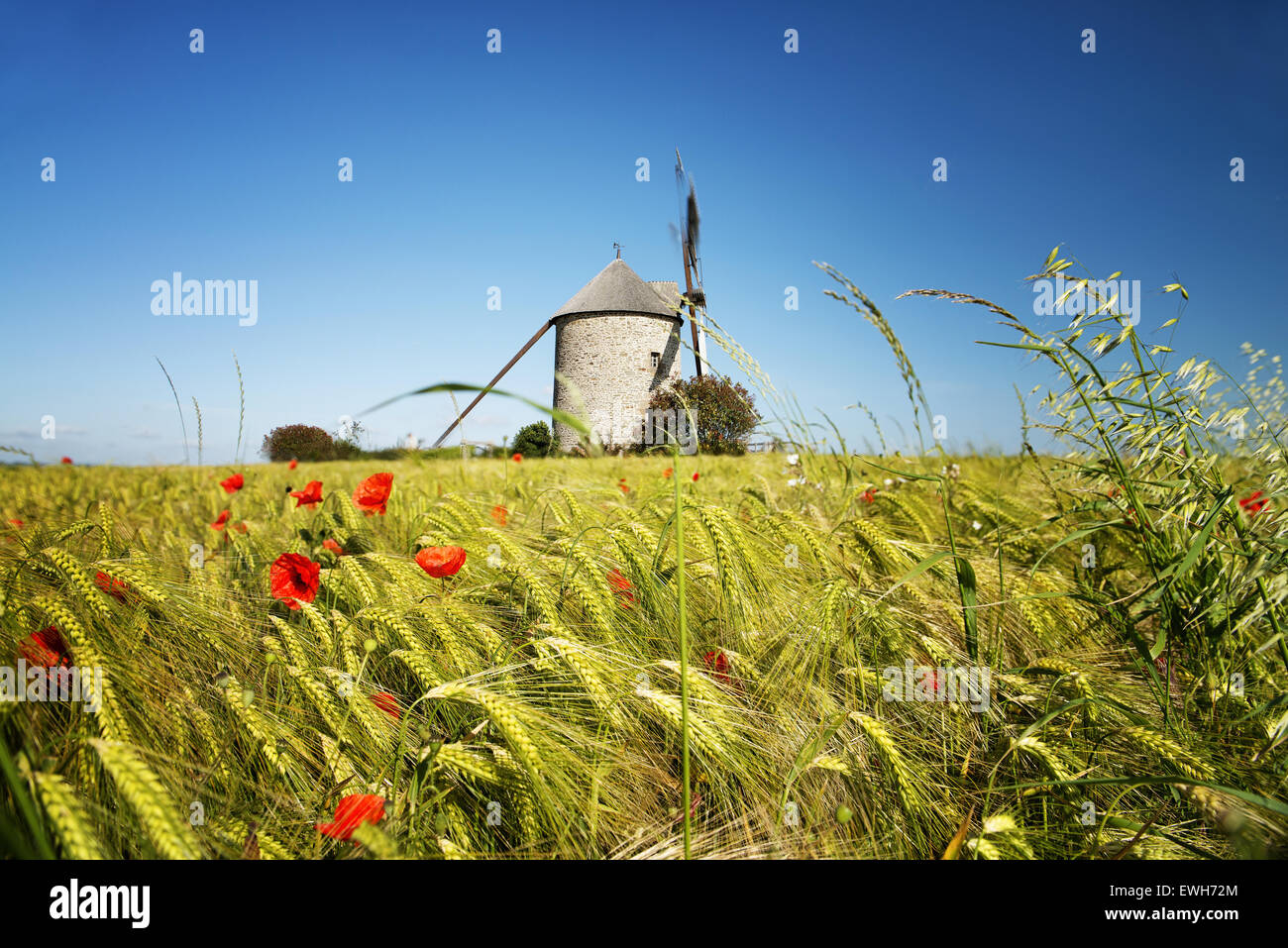 La France, le moulin de Moidrey Pontorson en Normandie Banque D'Images