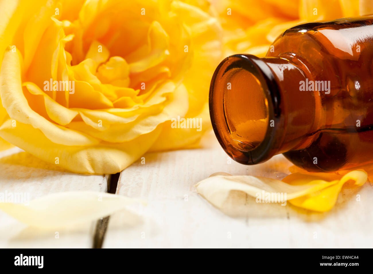 Bouteille d'apothicaire en face de rose jaune fleurs, closeup Banque D'Images