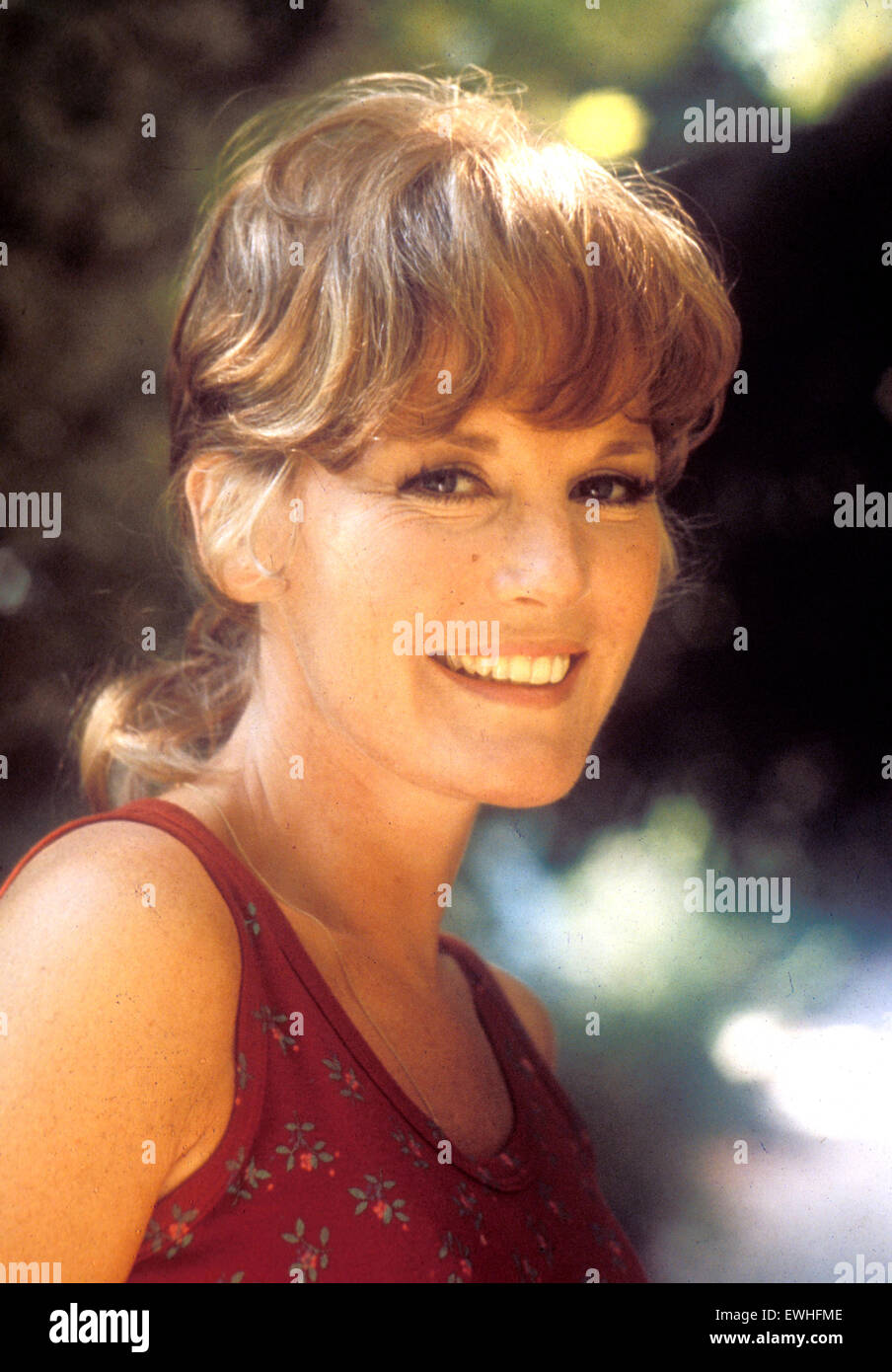PETULA CLARK chanteuse et actrice de cinéma environ 1968 Photo Stock - Alamy