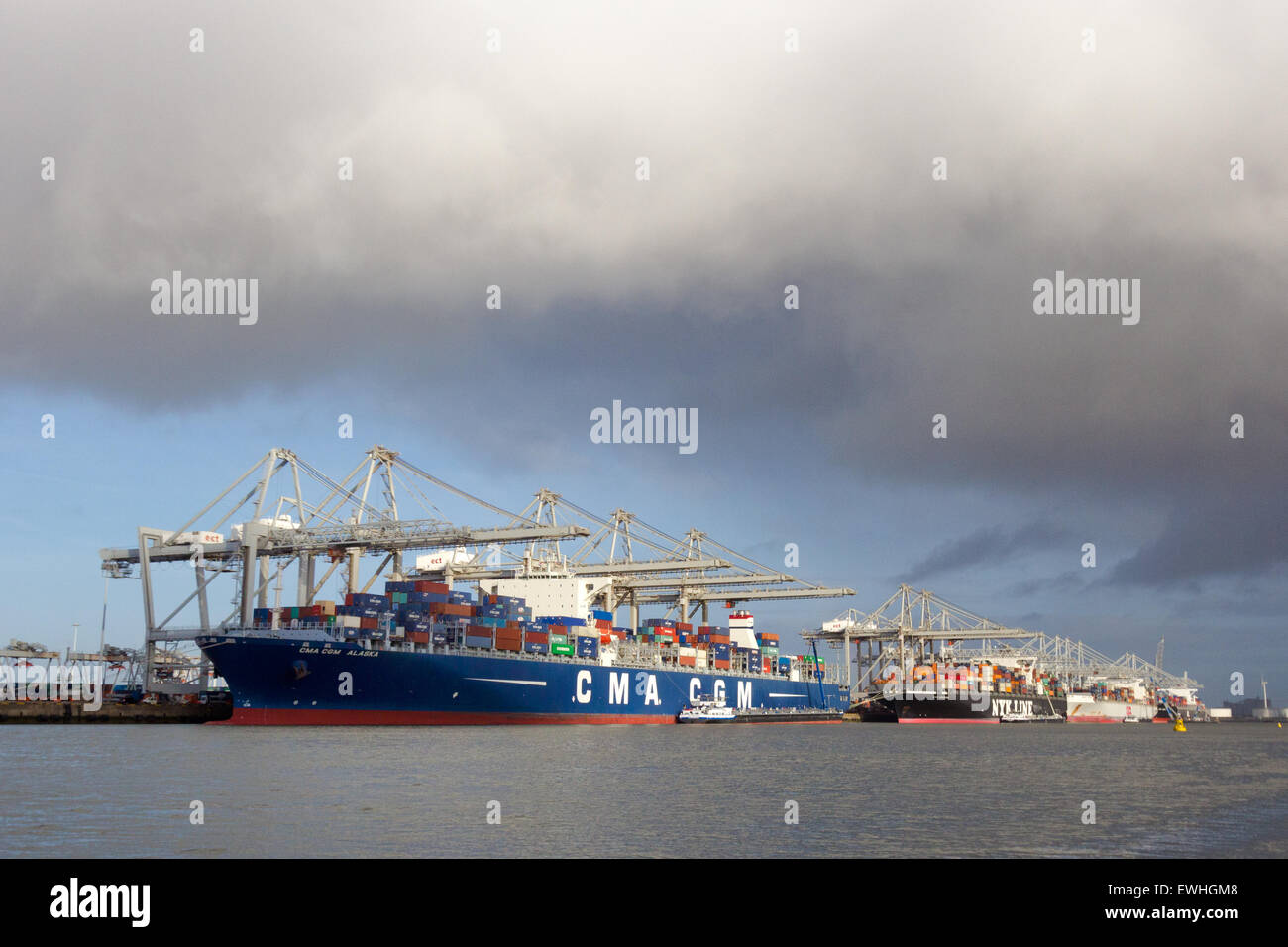 Les porte-conteneurs amarrée à l'ECT Terminal dans le port de Rotterdam. Banque D'Images Les porte-conteneurs amarrée à l'ECT Terminal dans le port de Rotterdam. Banque D'Images