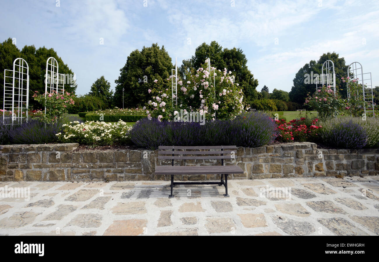 Lidice Jardin Rose a remporté le prestigieux Prix d'excellence pour le jardin parc exceptionnel de l'organisation Fédération Mondiale des Sociétés de Roses. Jardin de roses d'amitié et de la paix dans Lidice est le plus grand verger de roses en République tchèque avec 24 000 rosiers de 240 variétés, occupant une superficie de plus de trois hectares et demi. Lidice Roseraie est représenté à Lidice, République tchèque, le 26 juin 2015. (Photo/CTK Michal Krumphanzl) Banque D'Images