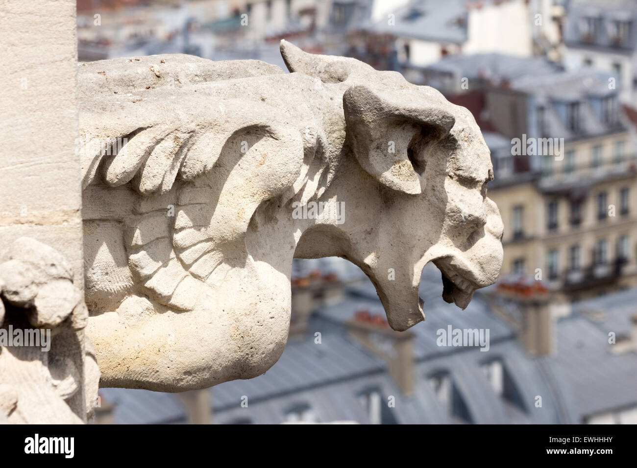 Sur la Gargouille de la Tour Saint-Jacques près de la Cathédrale Notre Dame, Paris Banque D'Images