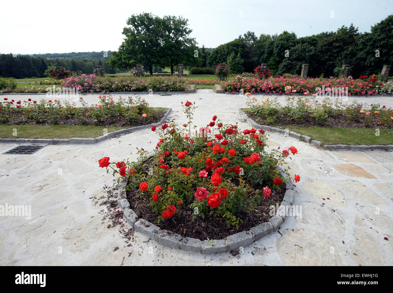 Lidice Jardin Rose a remporté le prestigieux Prix d'excellence pour le jardin parc exceptionnel de l'organisation Fédération Mondiale des Sociétés de Roses. Jardin de roses d'amitié et de la paix dans Lidice est le plus grand verger de roses en République tchèque avec 24 000 rosiers de 240 variétés, occupant une superficie de plus de trois hectares et demi. Lidice Roseraie est représenté à Lidice, République tchèque, le 26 juin 2015. (Photo/CTK Michal Krumphanzl) Banque D'Images