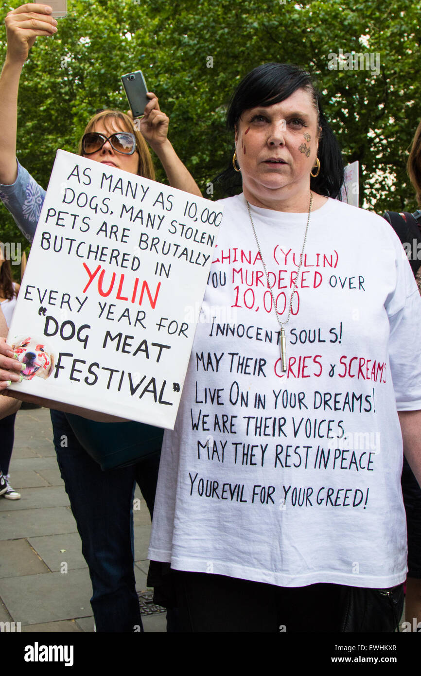 Londres, Royaume-Uni. 26 Juin, 2015. Des dizaines d'amoureux des animaux descendent sur l'ambassade de Chine pour protester contre l'Yulin La viande de chien Festival où des milliers de chiens, souvent tués à l'aide de méthodes extrêmement cruel, sont mangés. Selon un militant anti-cruauté, le festival Yulin est à seulement 10 ans et c'est un possible retour de bâton contre la croisade anti-la viande de chien de l'ouest. Crédit : Paul Davey/Alamy Live News Banque D'Images