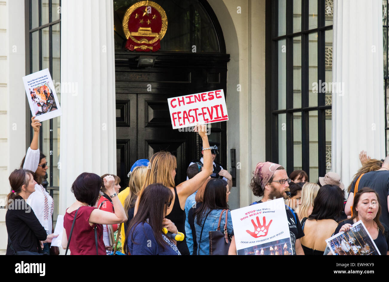 Londres, Royaume-Uni. 26 Juin, 2015. Des dizaines d'amoureux des animaux descendent sur l'ambassade de Chine pour protester contre l'Yulin La viande de chien Festival où des milliers de chiens, souvent tués à l'aide de méthodes extrêmement cruel, sont mangés. Selon un militant anti-cruauté, le festival Yulin est à seulement 10 ans et c'est un possible retour de bâton contre la croisade anti-la viande de chien de l'ouest. Crédit : Paul Davey/Alamy Live News Banque D'Images