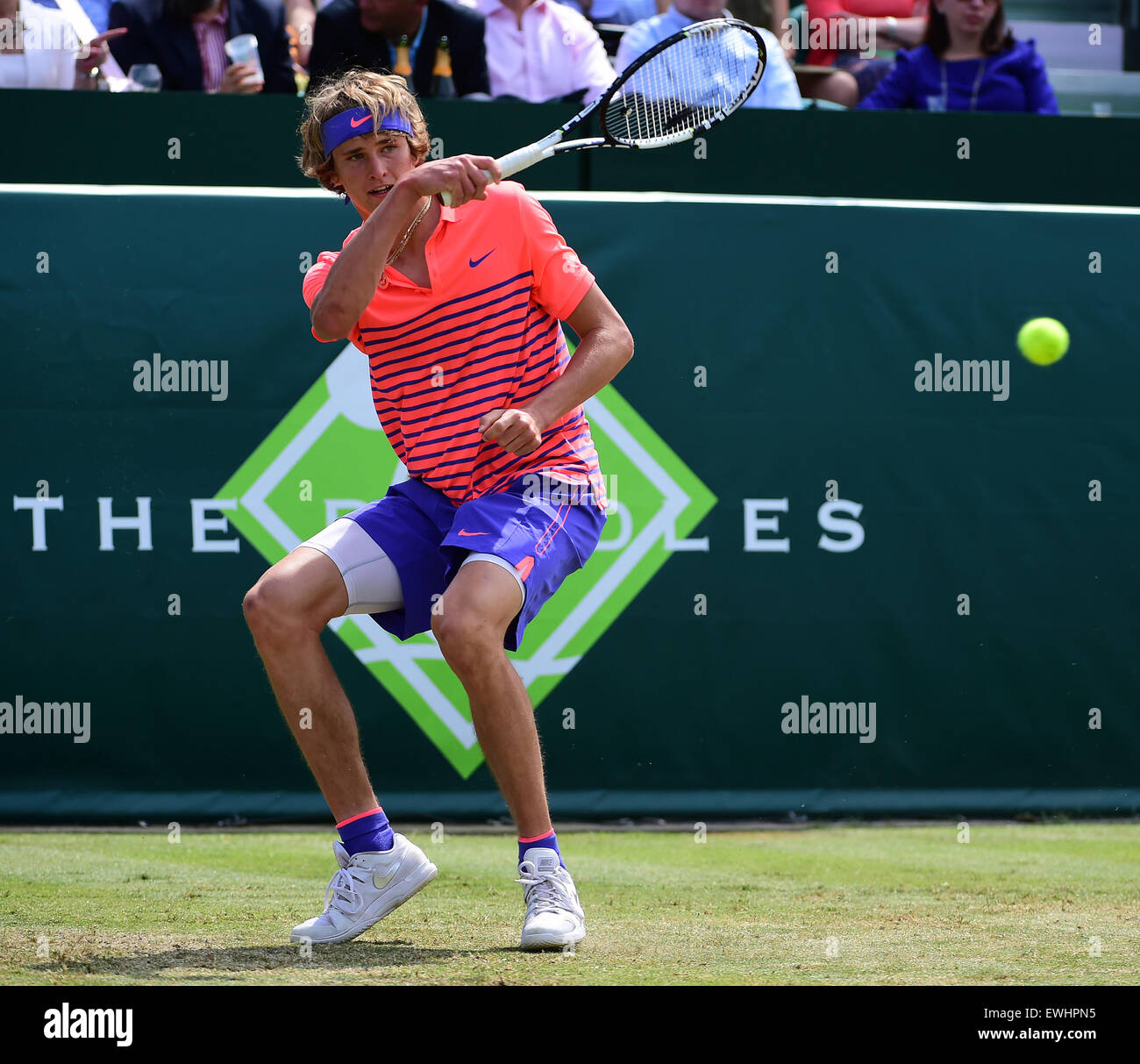 Slough, Berkshire, Royaume-Uni. 26 Juin, 2015. Le tournoi de tennis de Boodles. Alexander Zverev contre Novak Djokovic : Action Crédit Plus Sport/Alamy Live News Banque D'Images Slough, Berkshire, Royaume-Uni. 26 Juin, 2015. Le tournoi de tennis de Boodles. Alexander Zverev contre Novak Djokovic : Action Crédit Plus Sport/Alamy Live News Banque D'Images