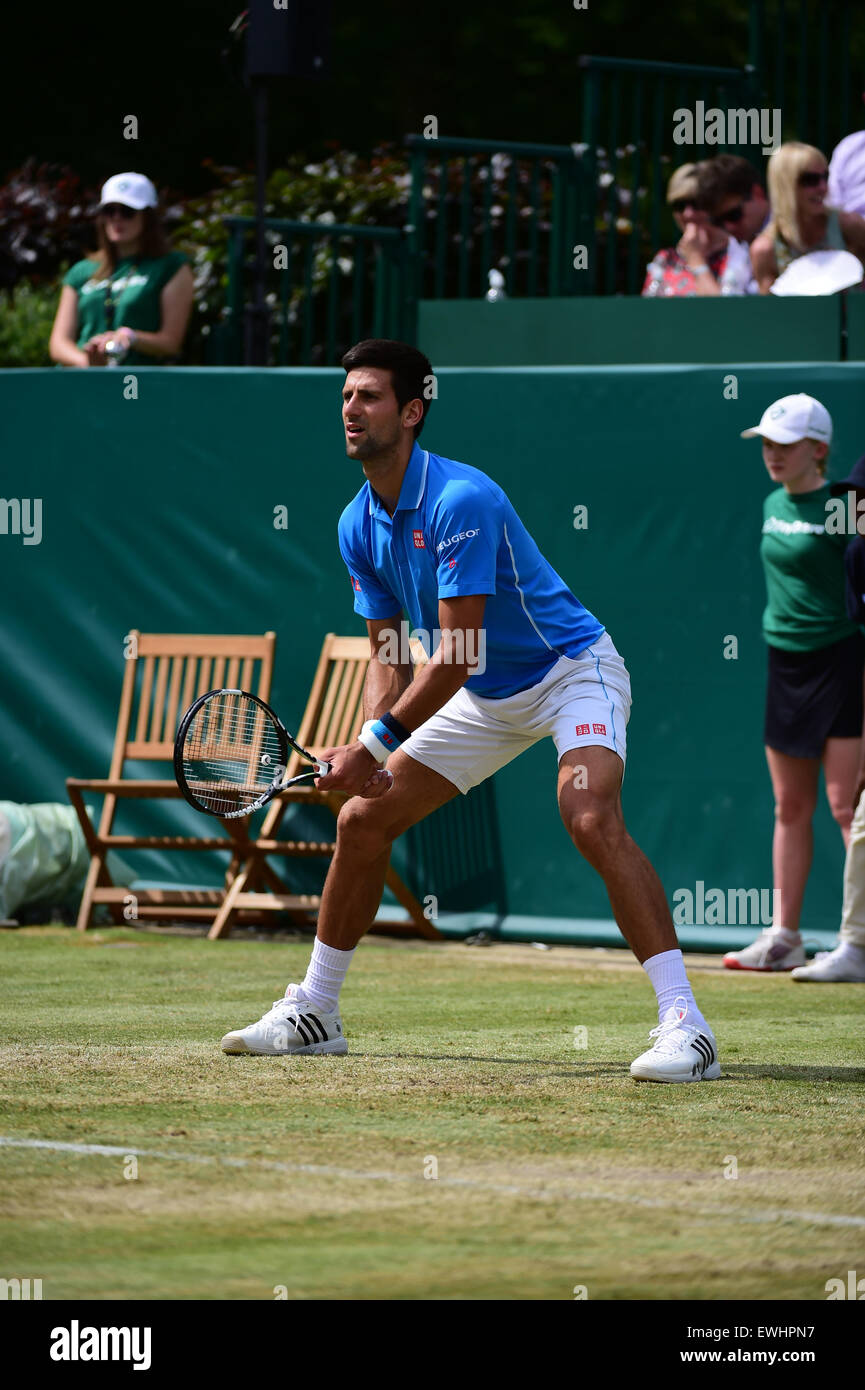 Slough, Berkshire, Royaume-Uni. 26 Juin, 2015. Le tournoi de tennis de Boodles. Novak Djokovic contre Alexander Zverev : Action Crédit Plus Sport/Alamy Live News Banque D'Images Slough, Berkshire, Royaume-Uni. 26 Juin, 2015. Le tournoi de tennis de Boodles. Novak Djokovic contre Alexander Zverev : Action Crédit Plus Sport/Alamy Live News Banque D'Images