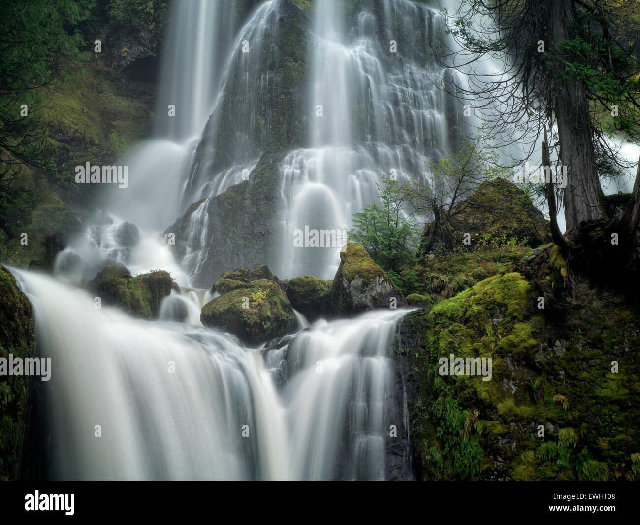 Falls Creek Falls, Washington. Banque D'Images