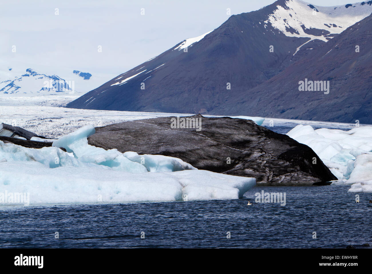 Le noir et blanc icebergs floating in Jokulsarlon glacial Lagoon Iceland Banque D'Images