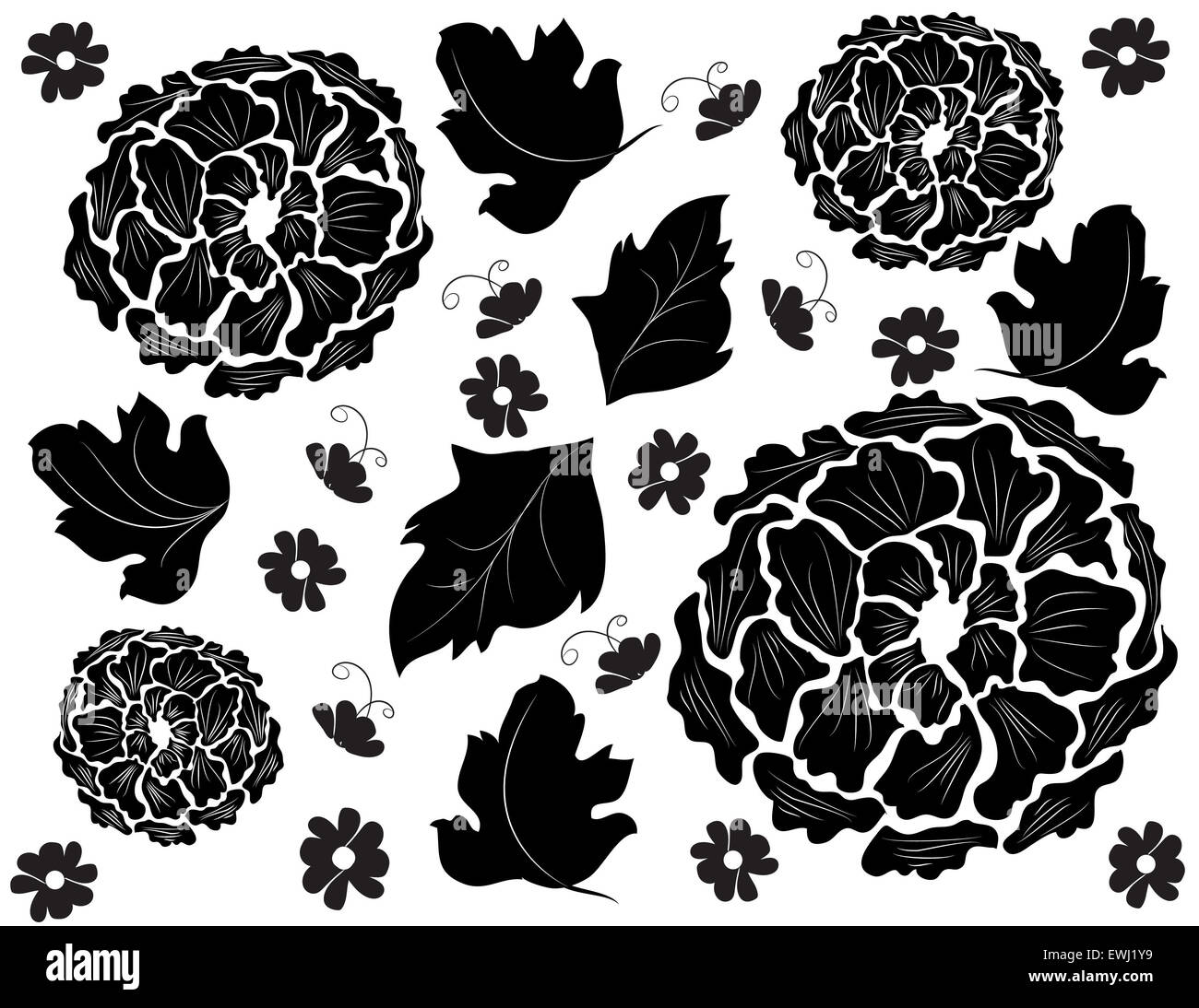 Composition florale originale en noir et blanc pour décorer tous vos espaces avec des chrysanthèmes Banque D'Images