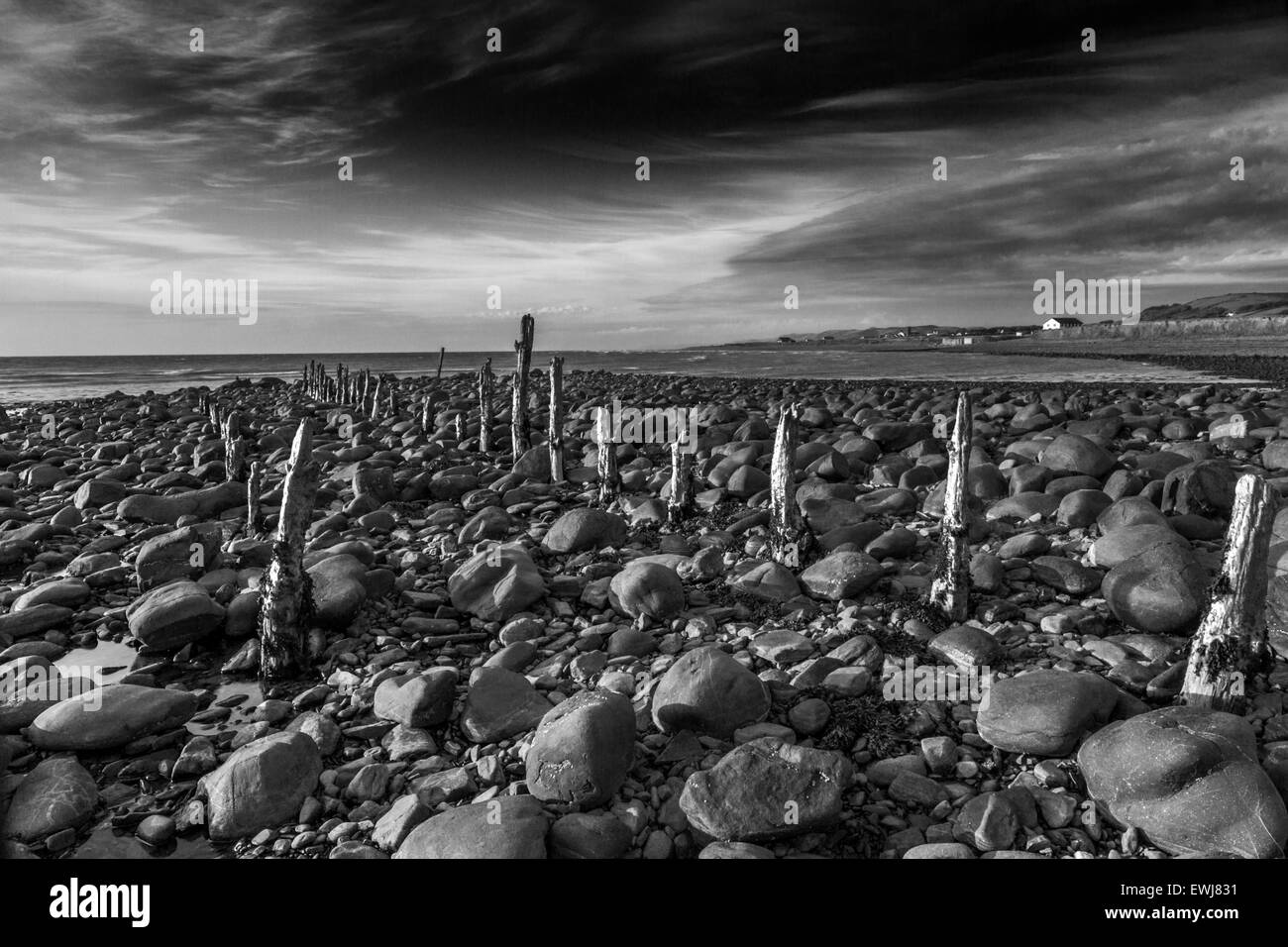 Épis sur la plage au crépuscule Banque D'Images