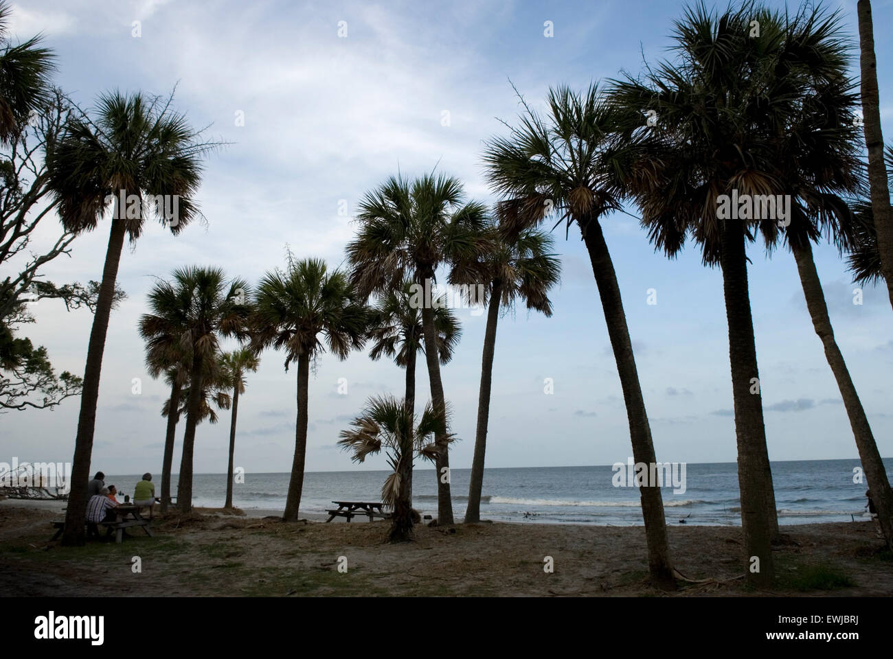 Touristes se relaxant sur la plage au Hunting Island State Park, Caroline du Sud, États-Unis. Banque D'Images