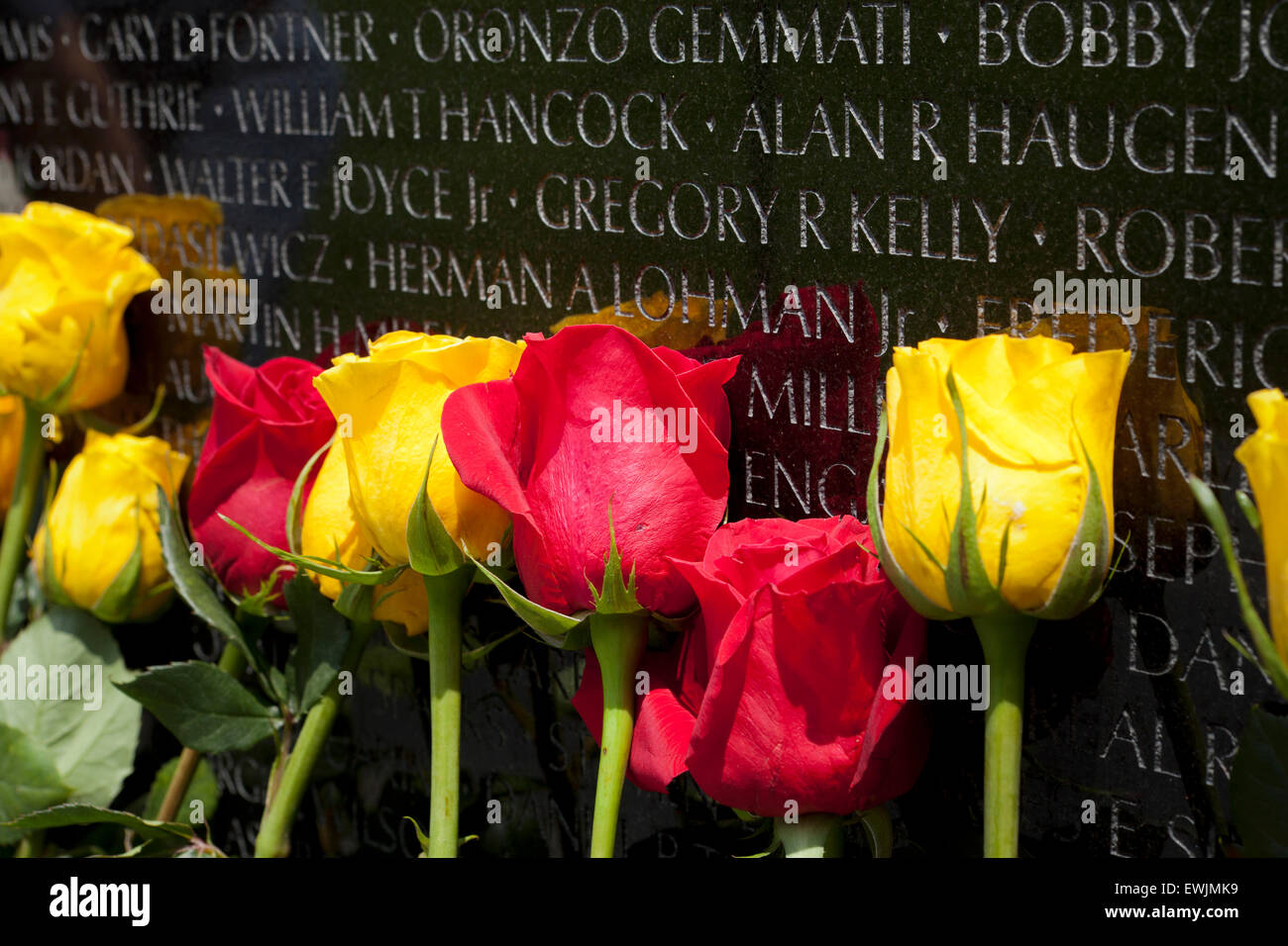 Roses sur la Vietnam Veterans Memorial wall pour la fête des pères - Washington, DC USA Banque D'Images