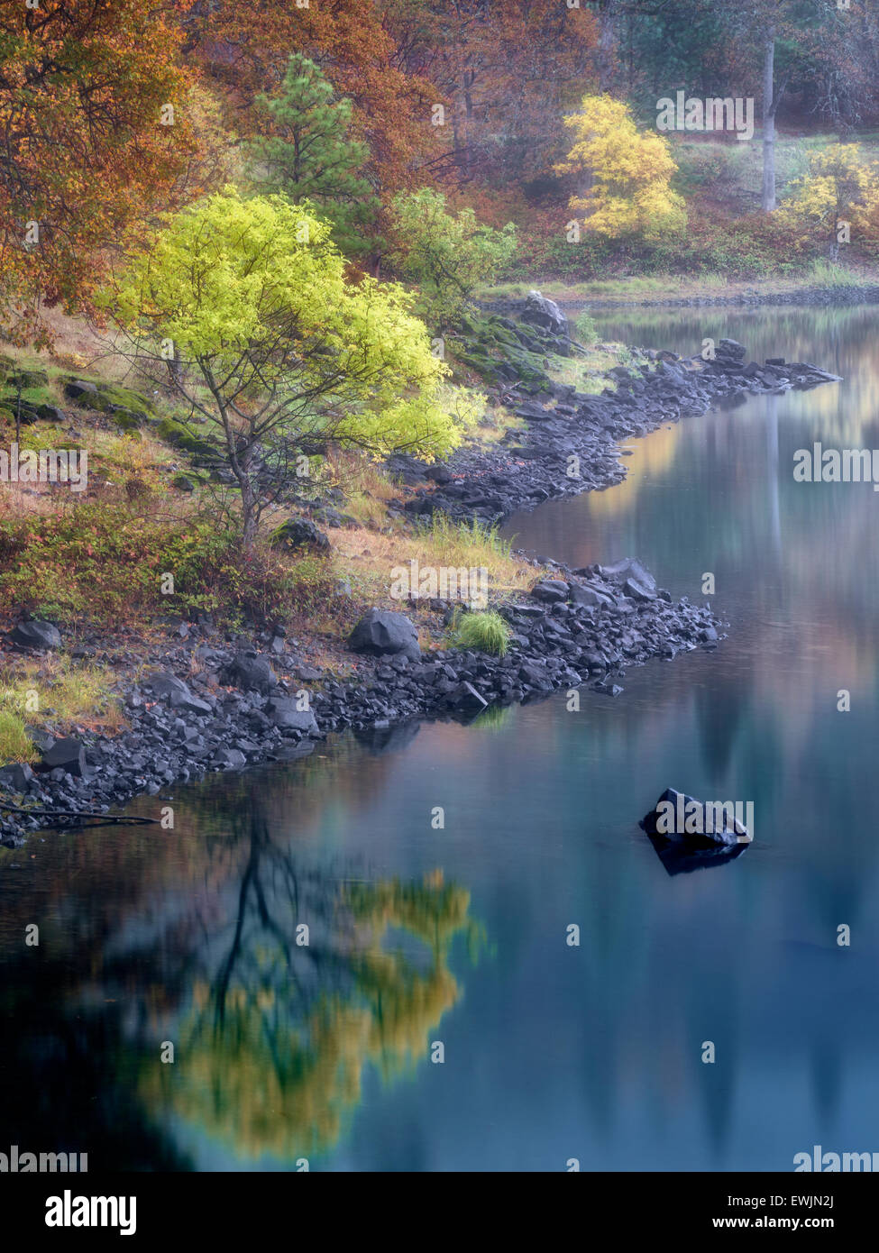 Petit lac et la couleur de l'automne près du fleuve Columbia. Columbia River National Scenic Area, New York Banque D'Images