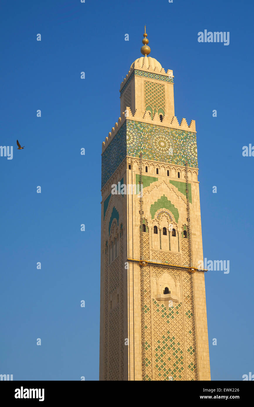 Mosquée Hassan II, Casablanca, Maroc, Afrique Banque D'Images