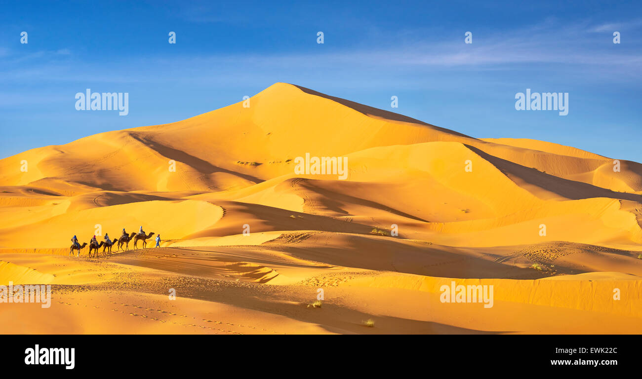 Les touristes monter sur des chameaux, désert Erg Chebbi près de Merzouga, Sahara, Maroc Banque D'Images