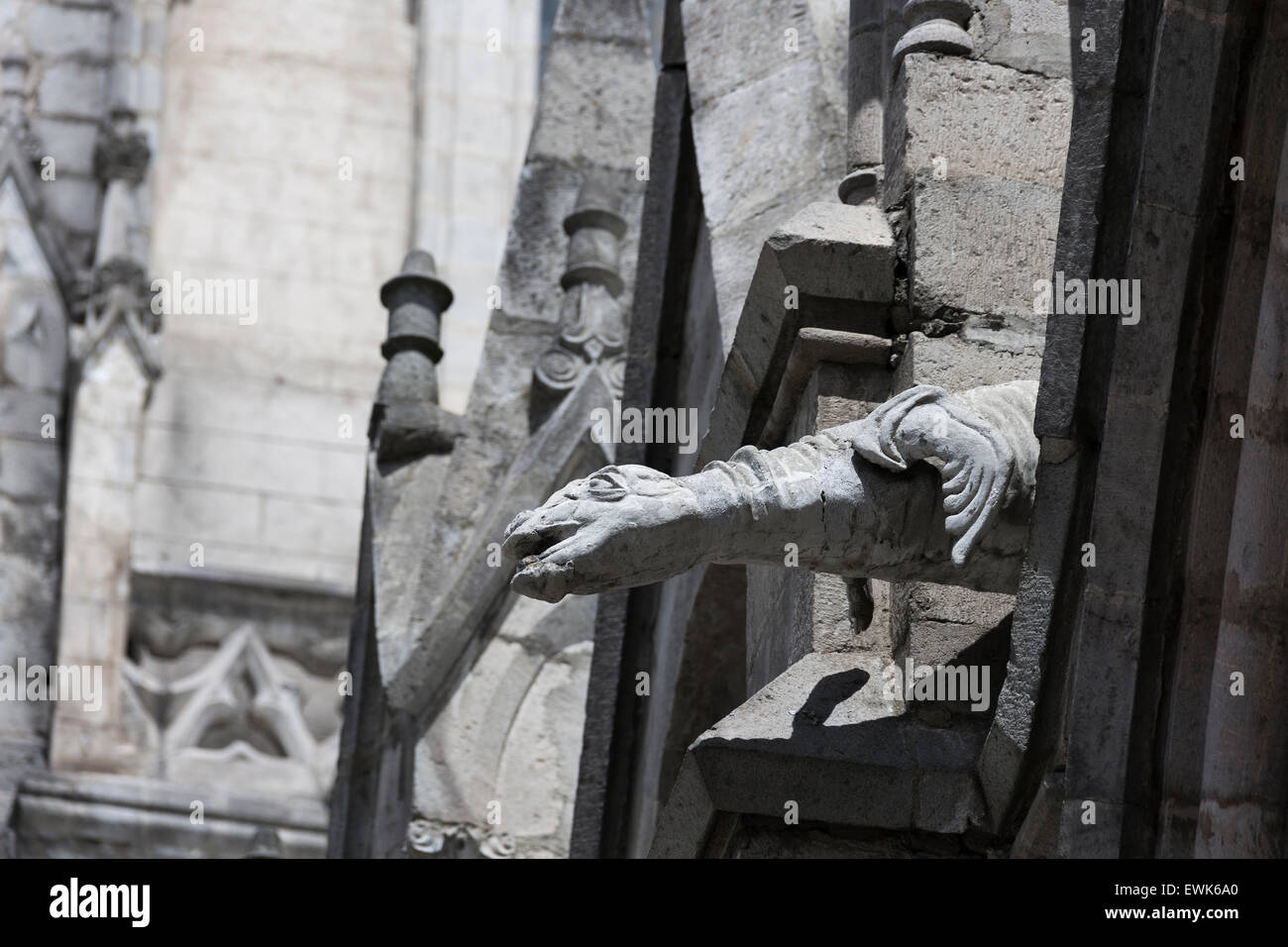 Sea Lion gargouille sur la Basilique del Voto Nacional Banque D'Images
