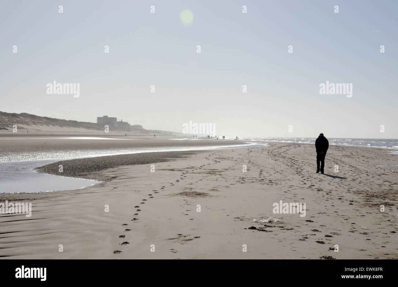 Personne seule se promenant le long de la plage près de Bergen aan Zee, Hollande du Nord, pays-Bas Banque D'Images