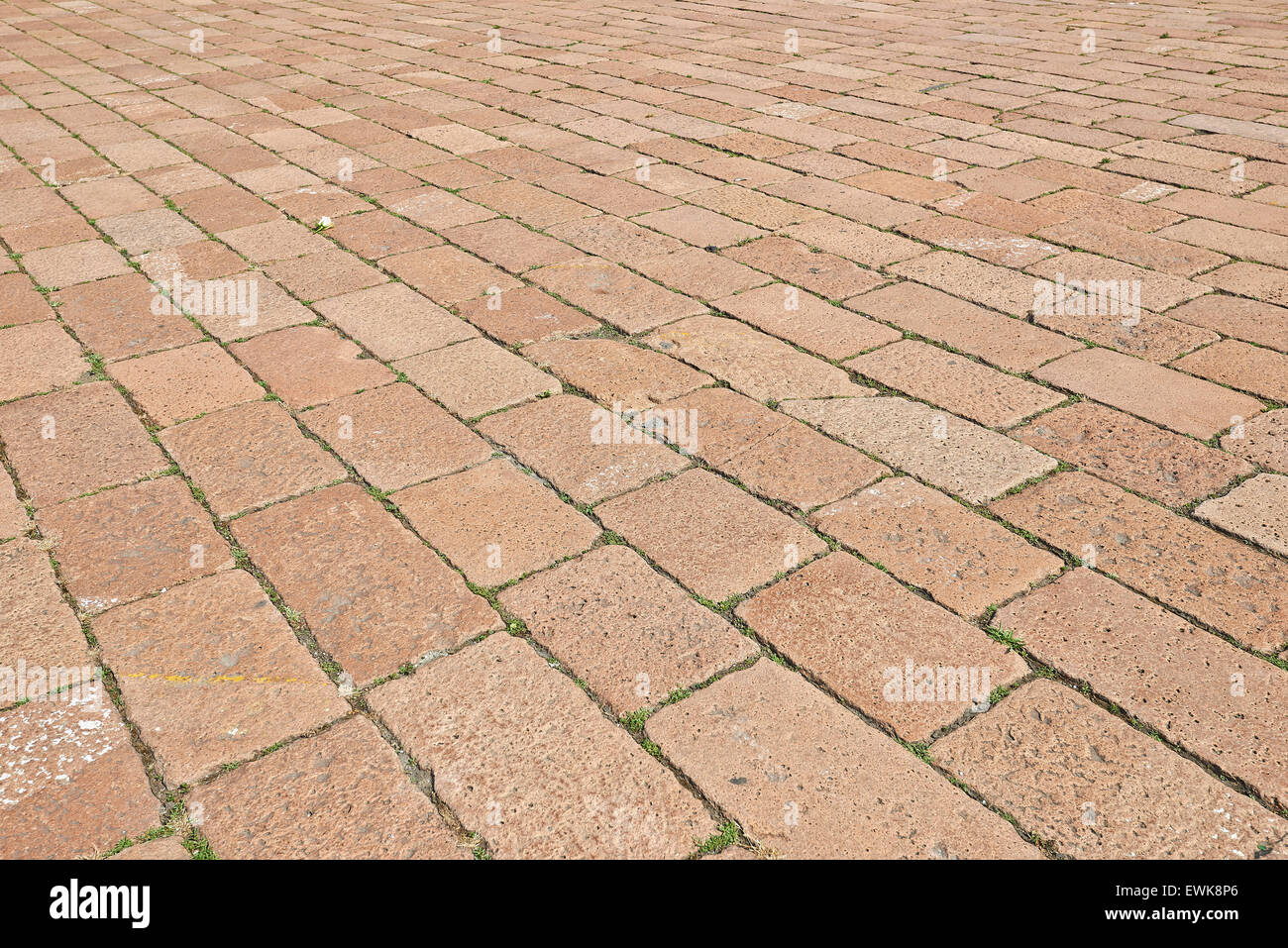 Pavage de bloc. Pavée de pierres avec les mauvaises herbes entre les bricksand une rose sur le terrain Banque D'Images