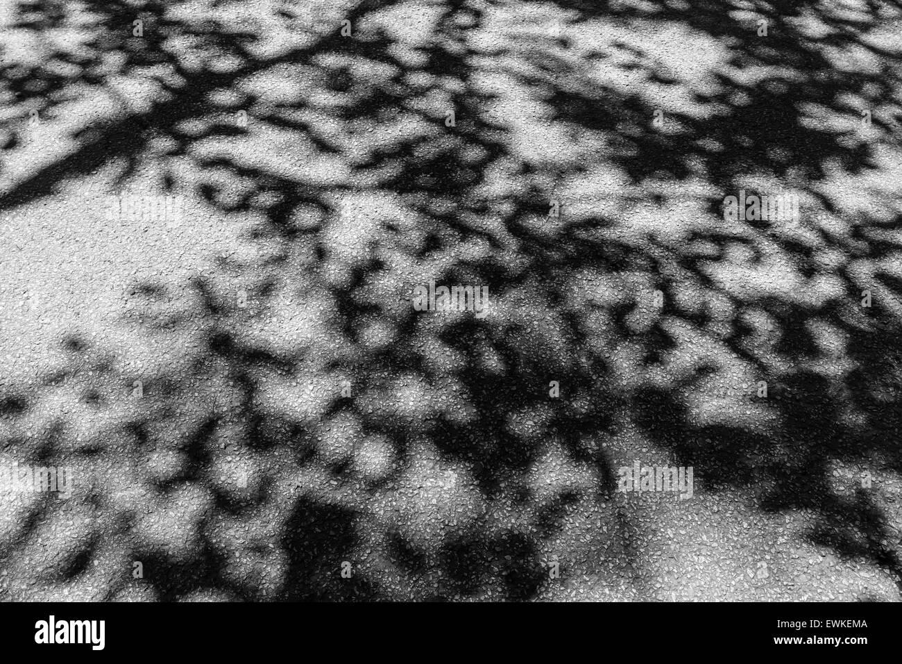 Asphalte comme toile temporaire (l'un d'une série) Banque D'Images