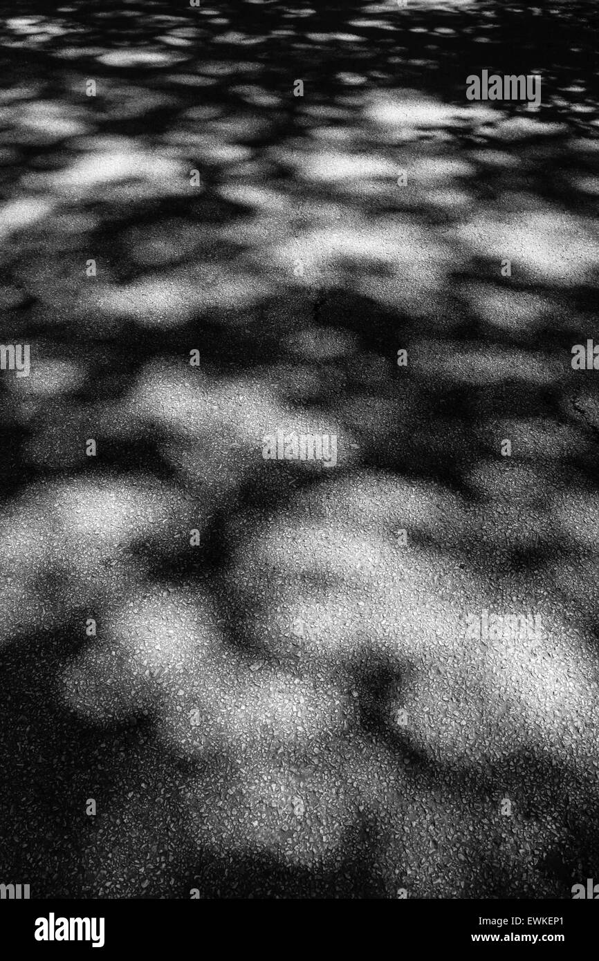 Perspective théâtrale en arboretum (partie d'une série) Banque D'Images