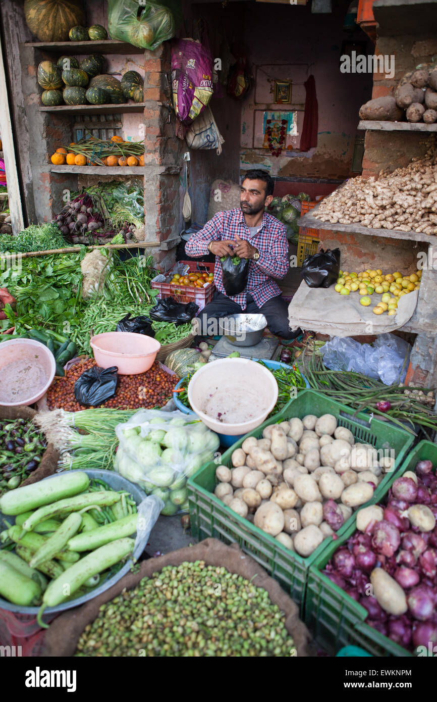 Vendeur de légumes au marché à Pushkar Banque D'Images