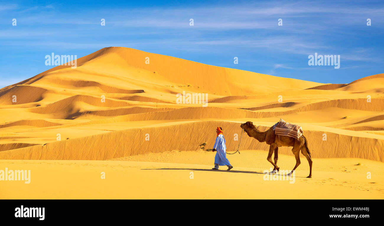 Homme berbère avec son chameau, le désert l'Erg Chebbi près de Merzouga, Sahara, Maroc Banque D'Images