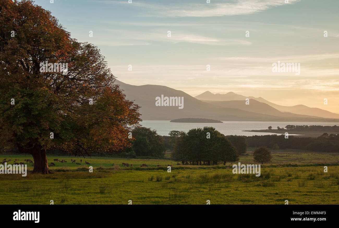 Irlande Paysage d'automne avec les ruisseaux de Macgillycuddy et le lac Lough Leane au coucher du soleil dans le parc national de Killarney, comté de Kerry, Irlande. Banque D'Images