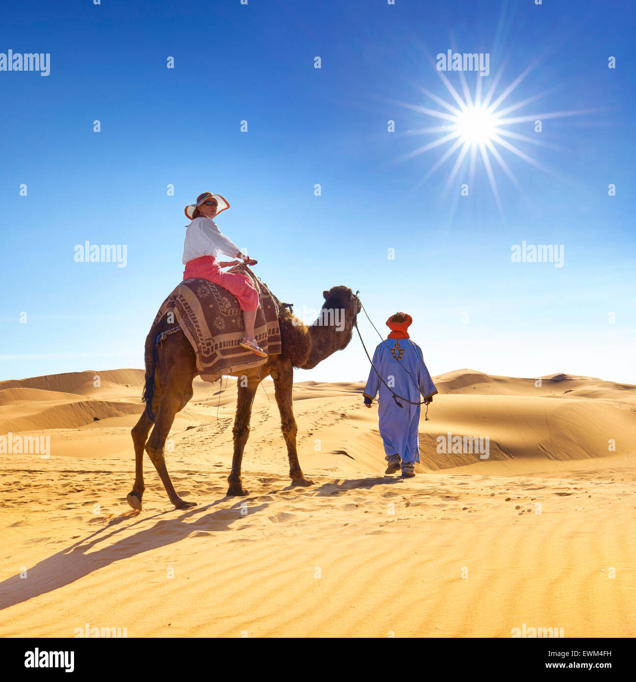 Tourisme en chameau, le désert l'Erg Chebbi près de Merzouga, les dunes du Sahara, le Maroc Banque D'Images