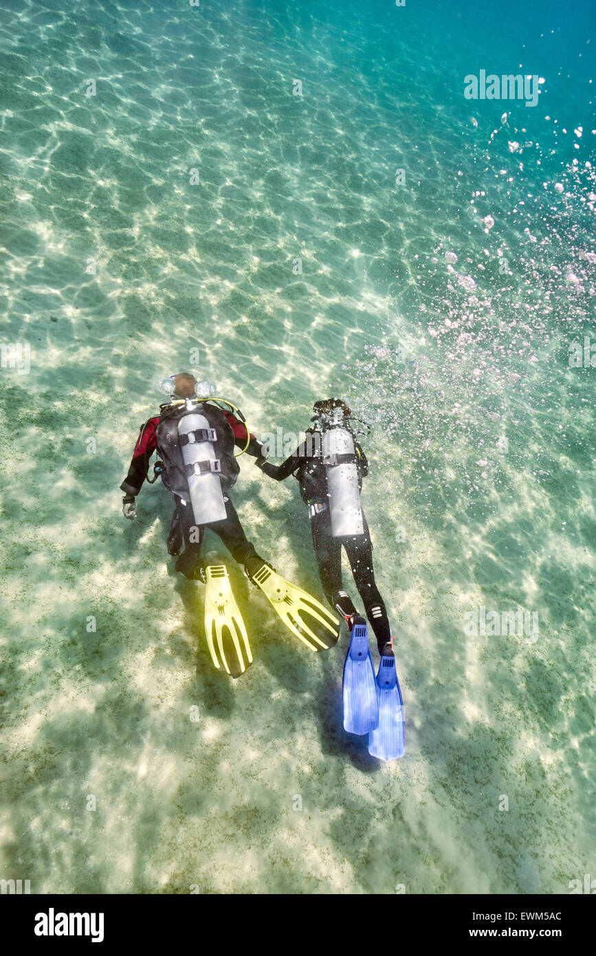 Moniteur de plongée avec plongeur débutant, première plongée sous-marine, Marsa Alam, Red Sea, Egypt Banque D'Images