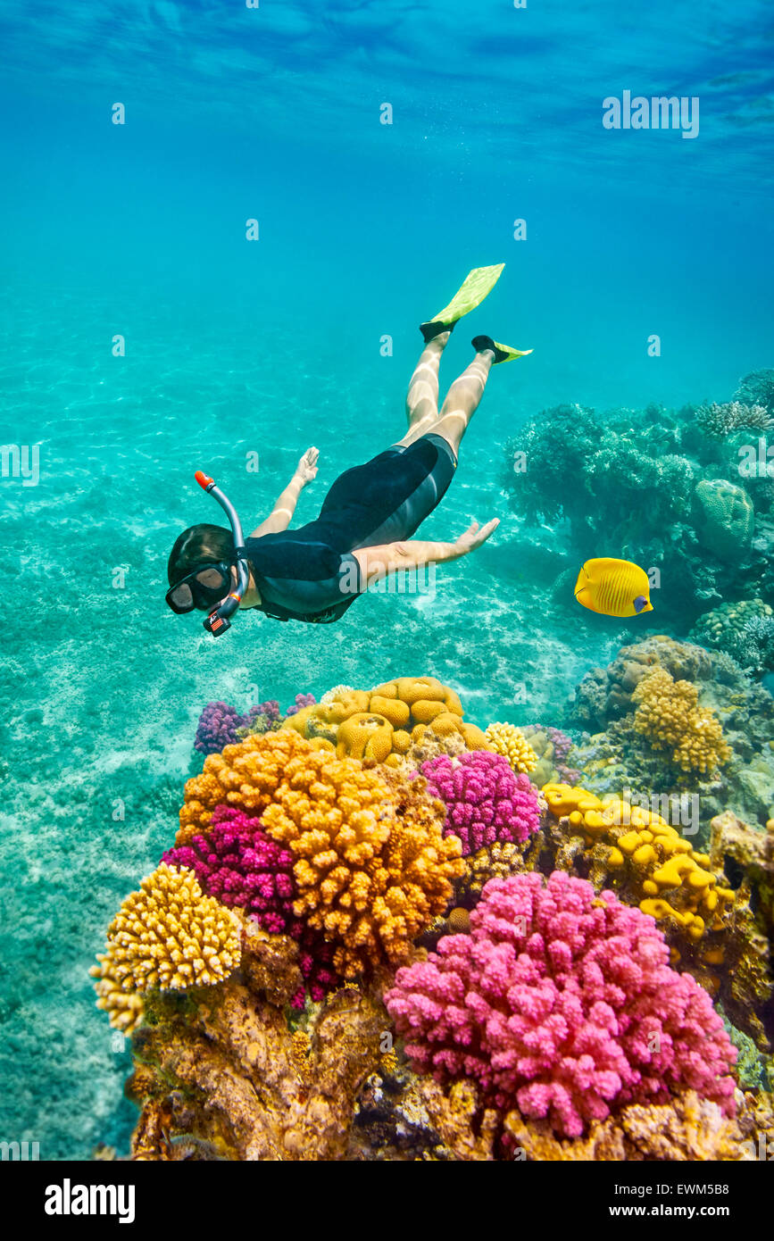Mer Rouge, Egypte - Marsa Alam plongée sous-marine, Reef Banque D'Images