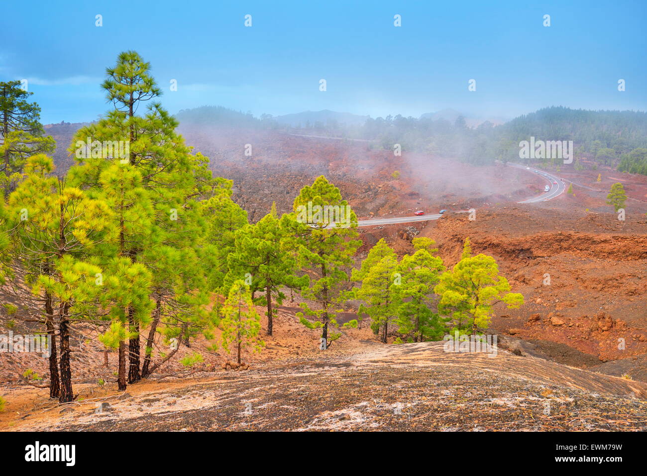 Paysage volcanique, le Parc National du Teide, Tenerife, Canaries, Espagne Banque D'Images