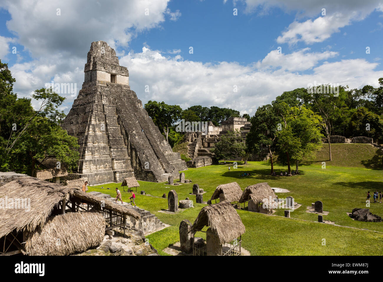les ruines de tikal guatemala