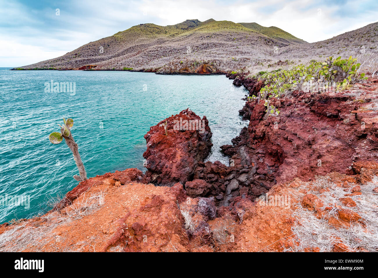 Paysage de Red Rock de l'île de Santiago dans les îles Galapagos Banque D'Images