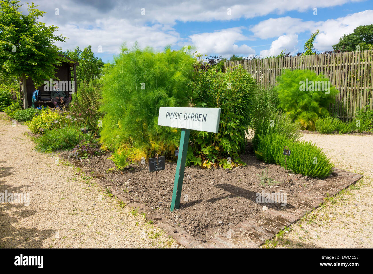 Un jardin de démonstration dans l'Helmsley Walled Garden la culture de plantes à propriétés médicinales Banque D'Images