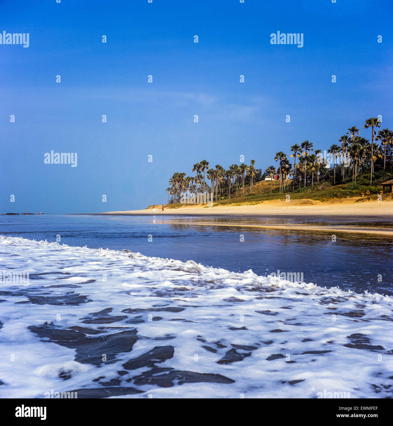 Kotu beach et écume de mer, Gambie, Afrique de l'Ouest Banque D'Images