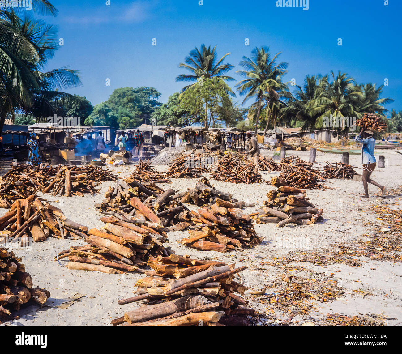Les piles de bois prêt pour la fabrication de charbon de bois, en Gambie, en Afrique de l'Ouest Banque D'Images