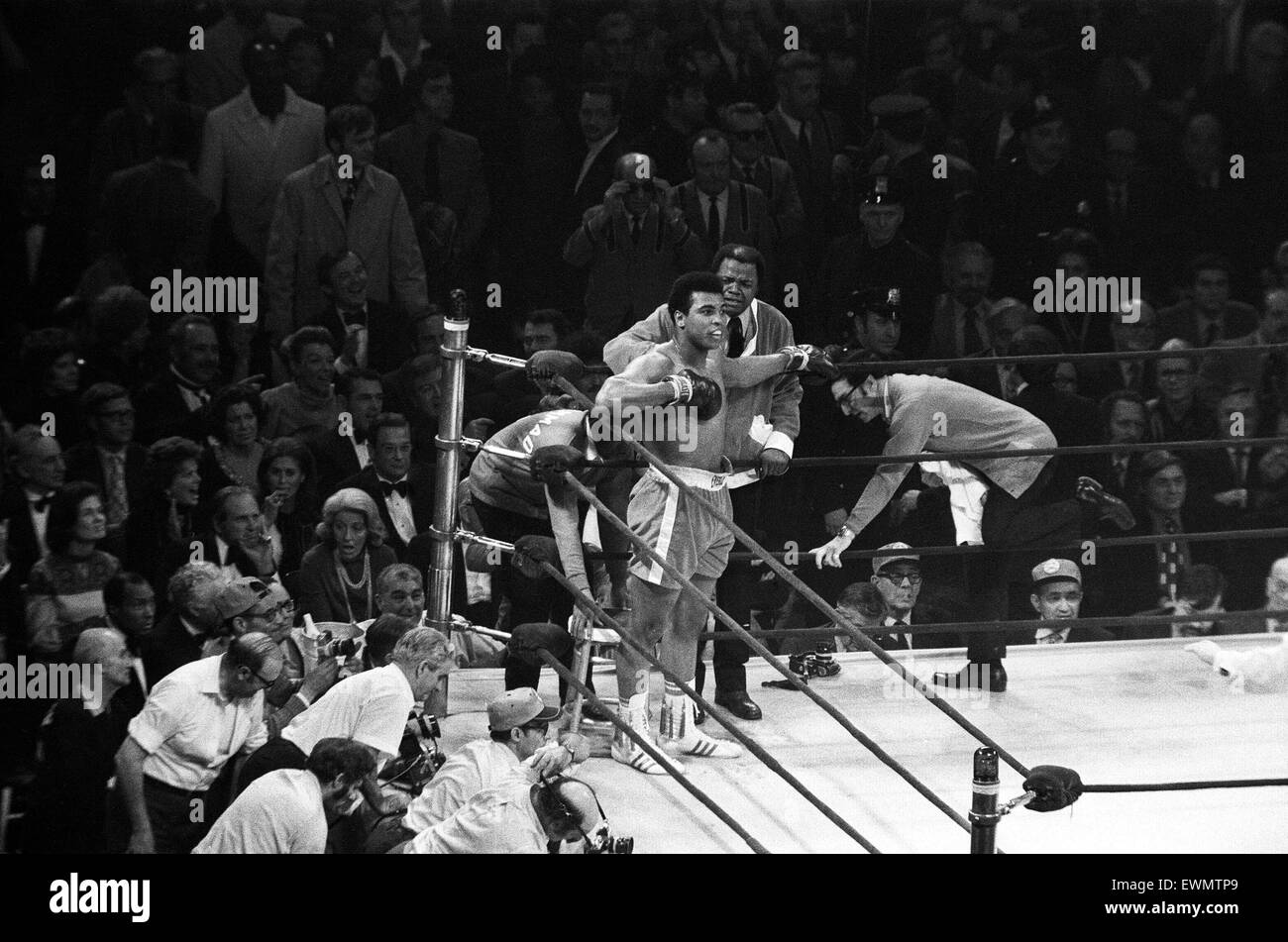 La lutte du siècle (également connu sous le nom de Lutte) est le titre d'écrivains et d'historiens de la boxe ont donné à la championne de boxe opposant Joe Frazier (26-0, 23 KOs) et challenger Muhammad Ali (31-0, 25 KOs), tenue le 8 mars 1971, au Madison Square G Banque D'Images