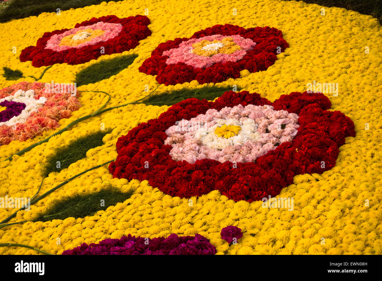Infiorata fête baroque des images faites de pétales de fleurs, Noto, Sicile Banque D'Images