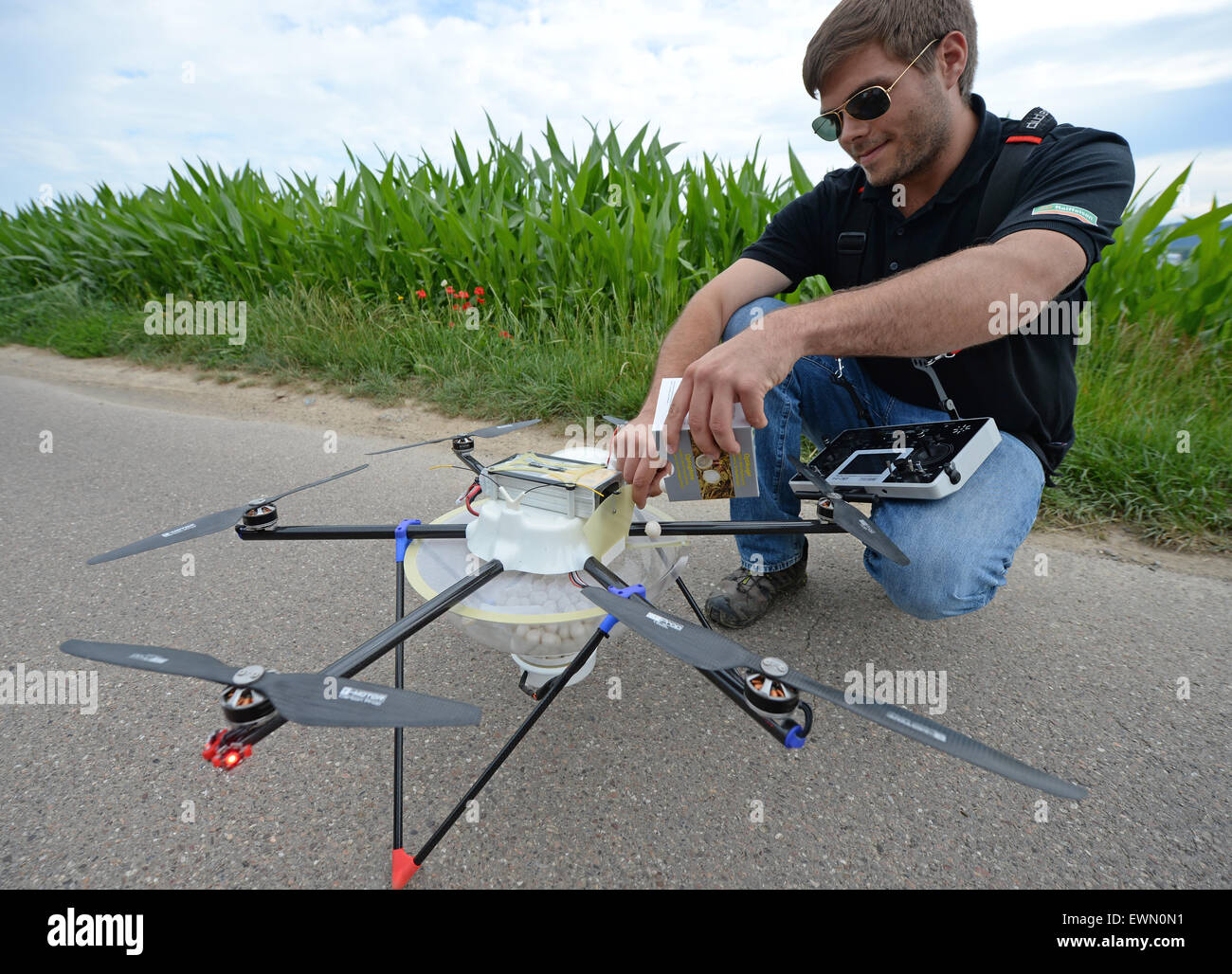 Friesenheim, Allemagne. 29 Juin, 2015. Pilote de drone Moritz Zumdick comble un drone avec mouche ichneumon oeufs dans Friesenheim, Allemagne, 29 juin 2015. La lutte contre la redoutable mouche ichneumon vole papillons de maïs qui peuvent causer d'énormes dégâts sur les champs de maïs. L'utilisation de drones dans ce domaine est unique en Allemagne. Photo : PATRICK SEEGER/dpa/Alamy Live News Banque D'Images